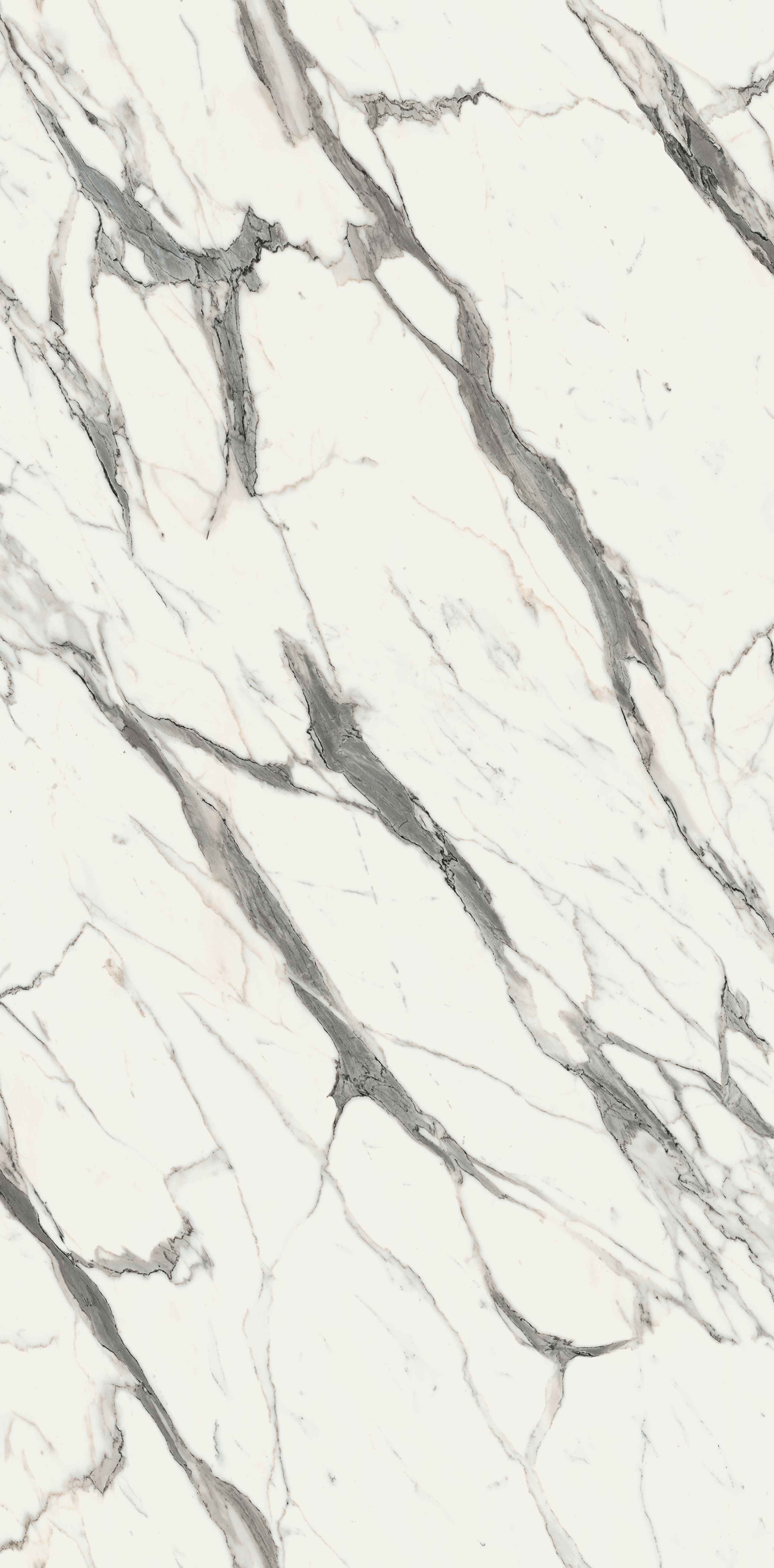 Calacutta marble-look compact-laminate surface sample.